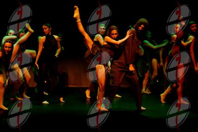 SHOW_02250.jpg